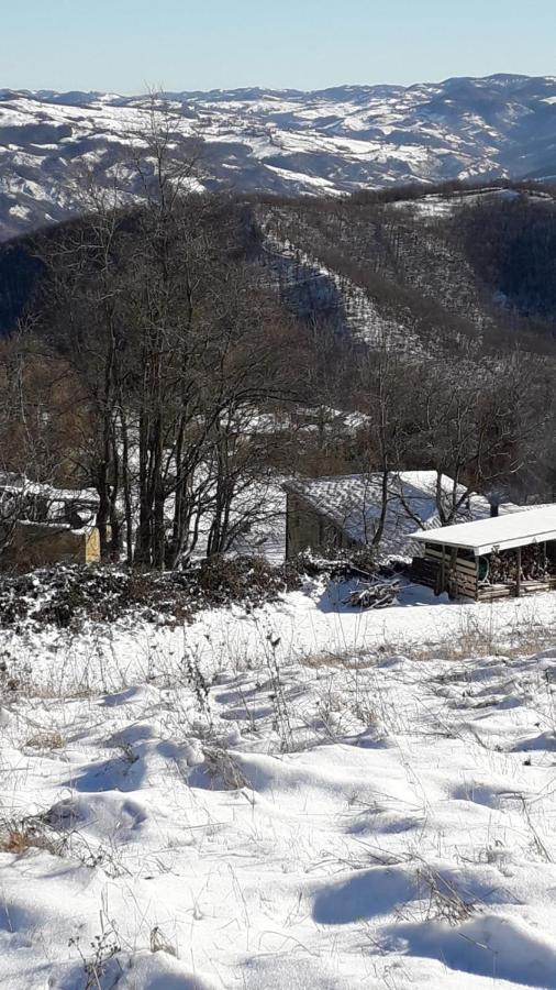 La Tana Del Picchio Villa Neviano degli Arduini Dış mekan fotoğraf
