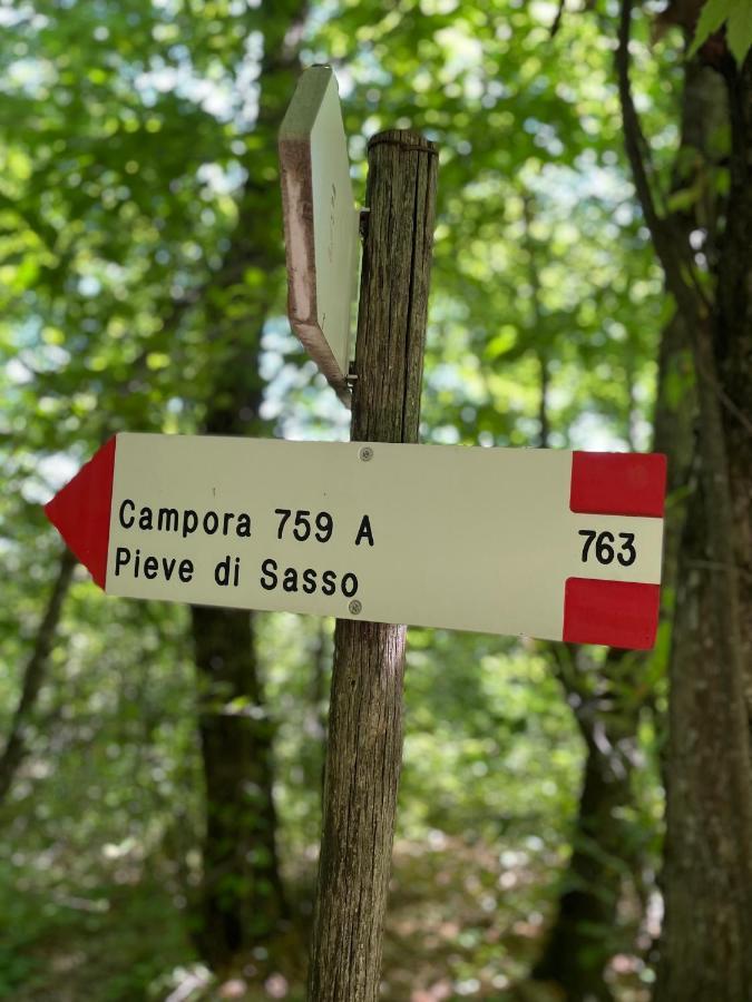 La Tana Del Picchio Villa Neviano degli Arduini Dış mekan fotoğraf