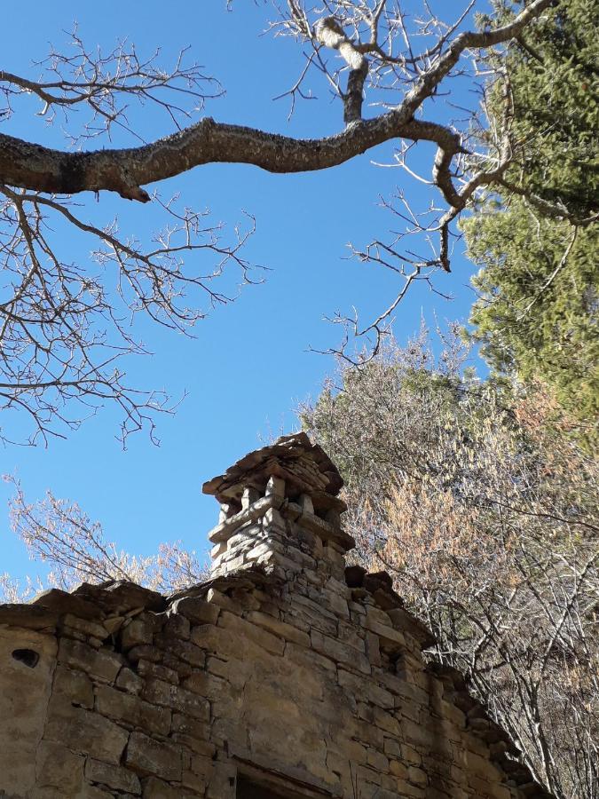 La Tana Del Picchio Villa Neviano degli Arduini Dış mekan fotoğraf