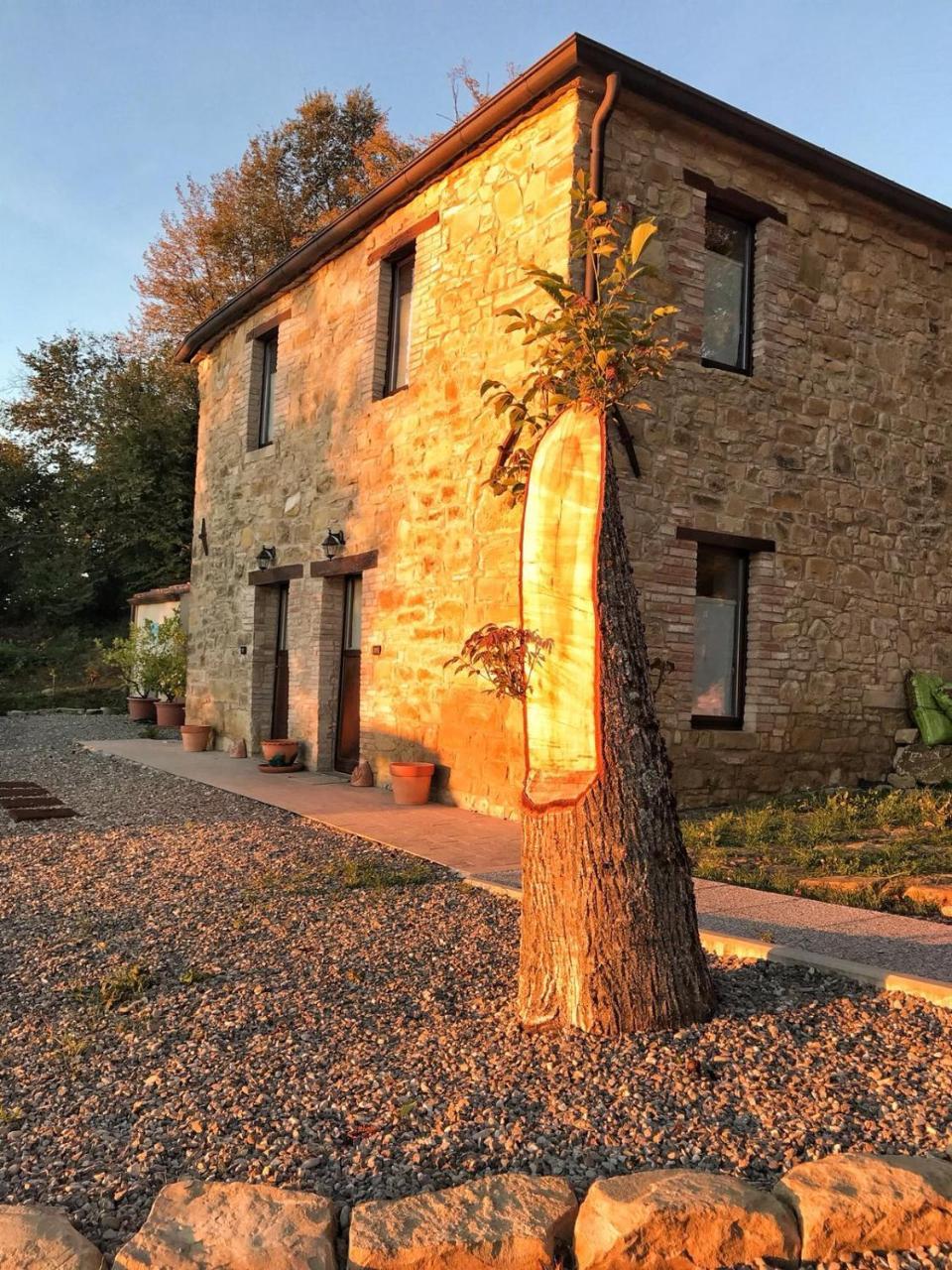 La Tana Del Picchio Villa Neviano degli Arduini Dış mekan fotoğraf